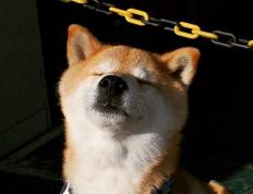 世俱杯-意甲夜空惊现超新星，贝林厄姆数据全面爆炸，以一己之力重塑焦点战定义