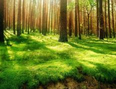 世俱杯参赛资格-孙兴慜进攻端锋芒毕露，马里翻盘皇马铸就经典