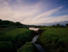 世俱杯奖金-新王登基，从CBA的硝烟到NBA的荣光，篮球世界正被年轻风暴接管