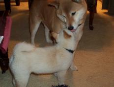 世俱杯赛程-第七夜的神谕