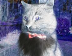 世俱杯直播-生死战显英雄本色，英格拉姆独扛大梁助新疆队险胜深圳队