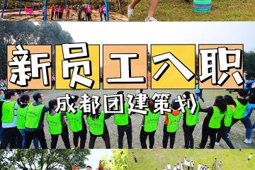 世俱杯分组-包含新一轮挑战开启：团队合作成为关键因素的词条