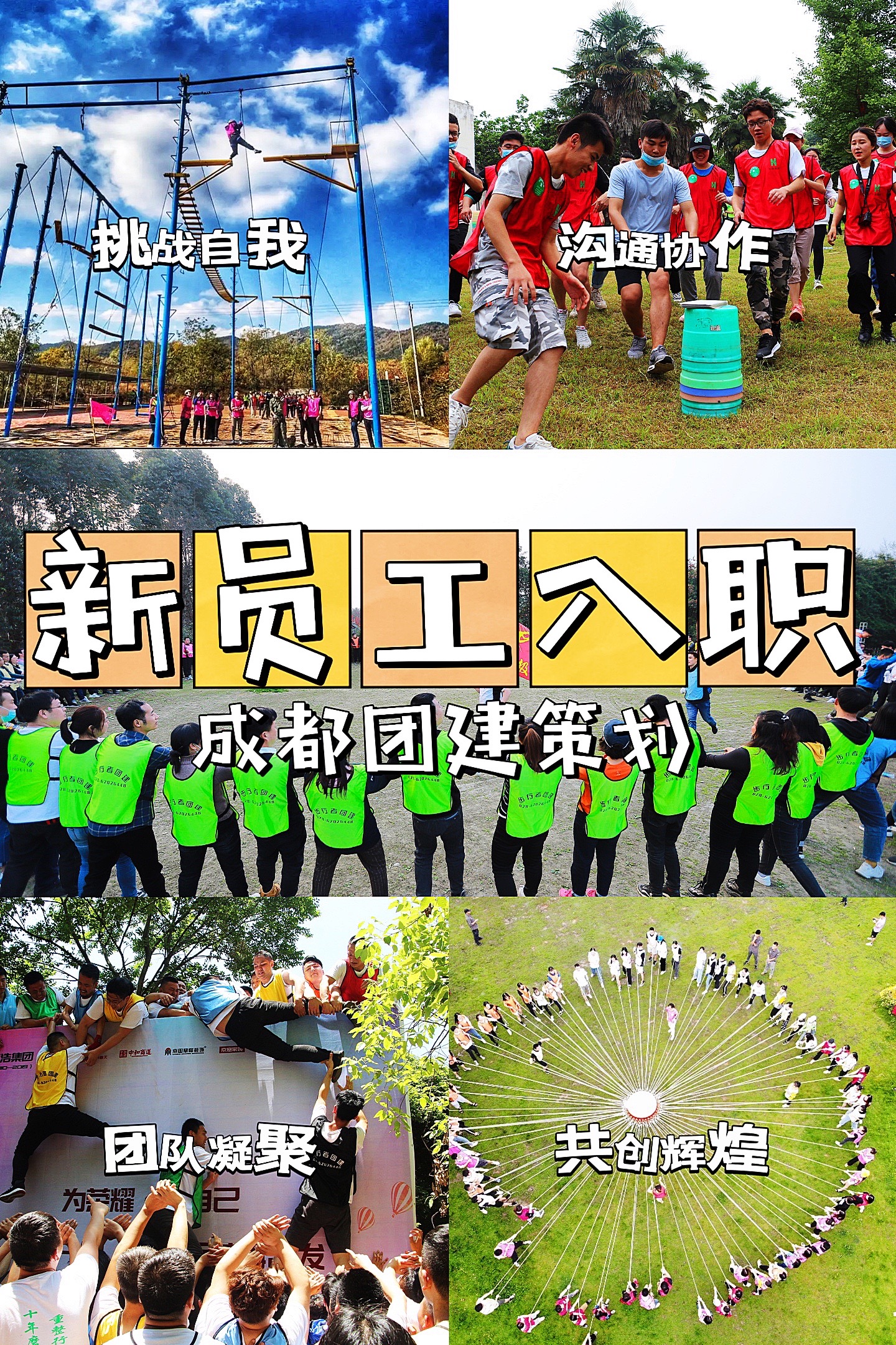 世俱杯分组-包含新一轮挑战开启：团队合作成为关键因素的词条