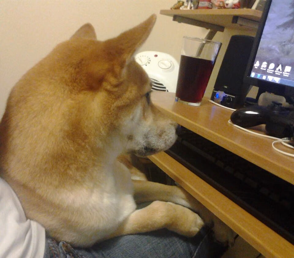 世俱杯-欧冠半决赛之夜，班凯罗独揽乾坤，高光表现铸就传奇