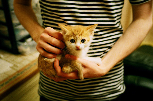 世俱杯改制-欧冠淘汰赛之夜的篮球史诗，字母哥关键战不手软